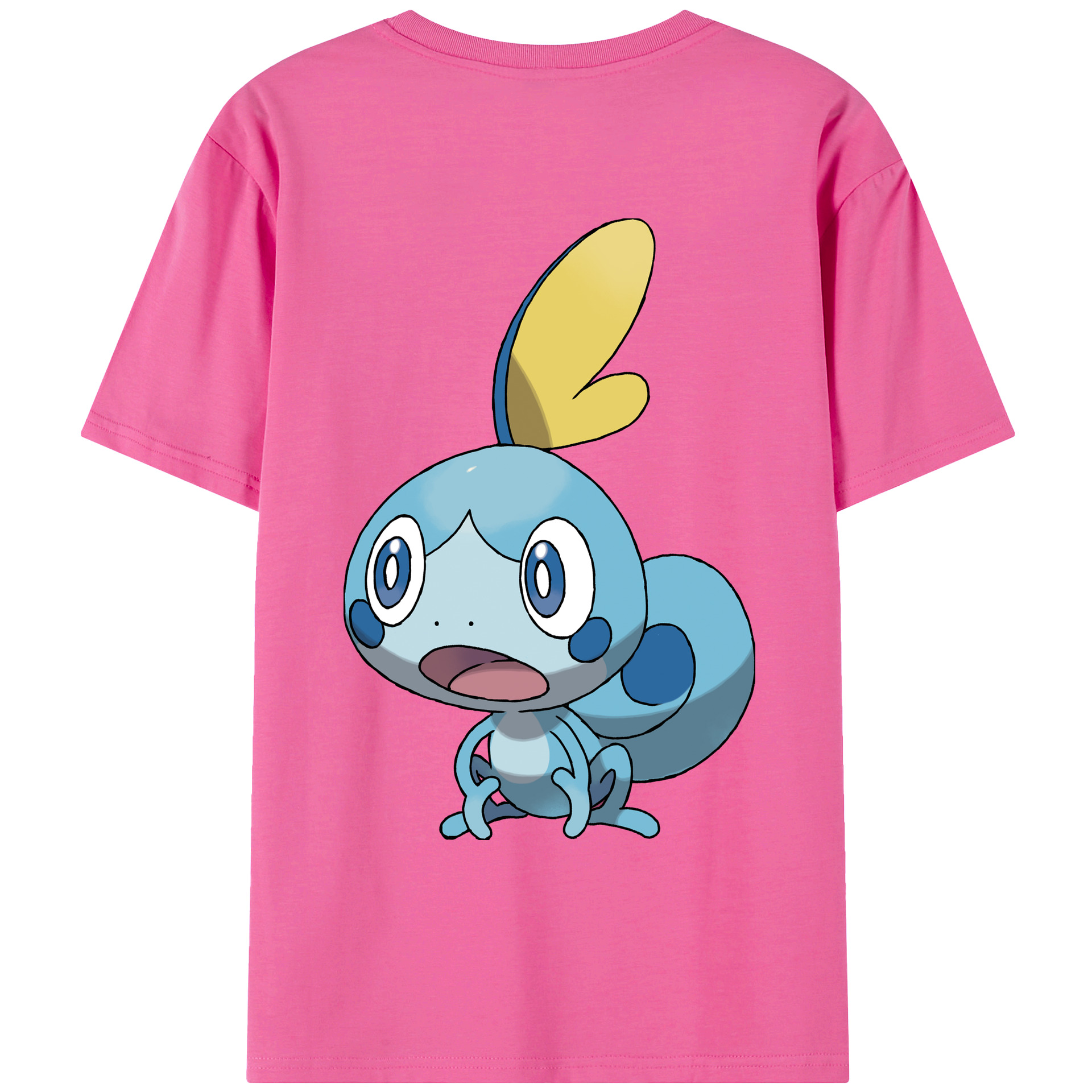 （画像用） ポケットモンスター Pokémon レディース半袖Tシャツ(バックプリント)